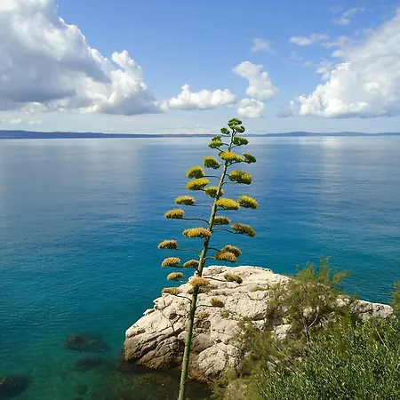 Appartement One Vision *