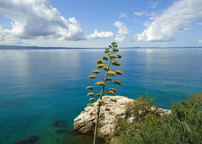 Διαμέρισμα One Vision *